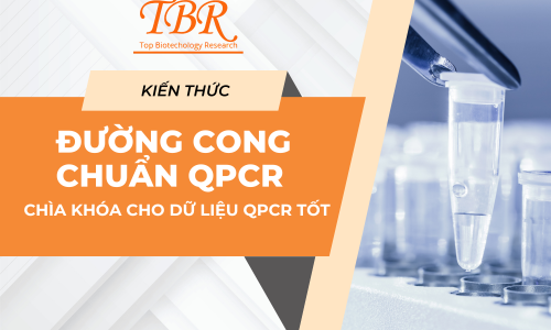 Đường chuẩn qPCR: Chìa khóa cho dữ liệu qPCR tốt