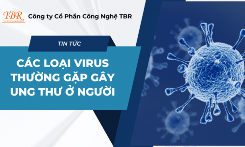 Các loại virus thường gặp gây ung thư ở người