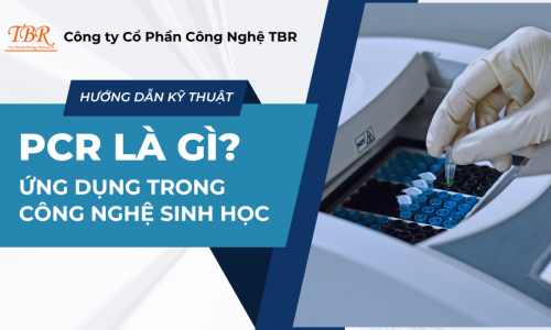 Xét nghiệm PCR là gì? Ứng dụng của PCR trong công nghệ...