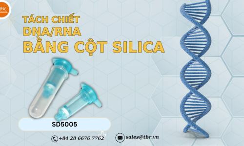 TÁCH CHIẾT DNA/RNA BẰNG CỘT SILICA- NGUYÊN LÝ, QUY...