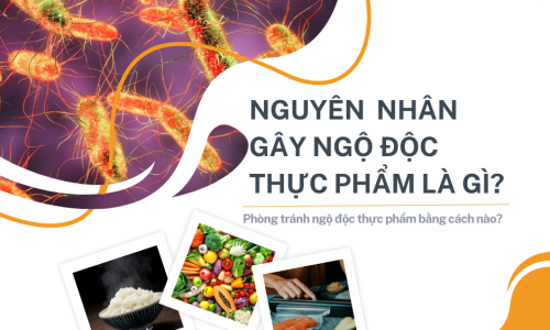 NGUYÊN NHÂN DẪN ĐẾN NGỘ ĐỘC THỰC PHẨM TRONG THỨC ĂN