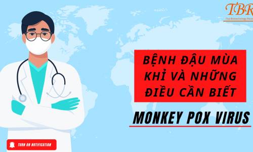 ĐẬU MÙA KHỈ VÀ NHỮNG ĐIỀU CẦN BIẾT